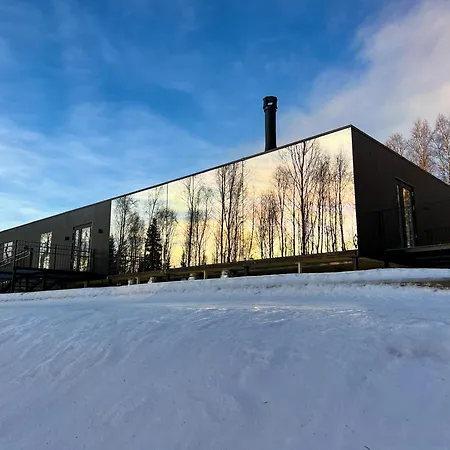 Silver Birch Lapland