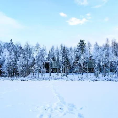 Hotel Silver Birch Lapland *