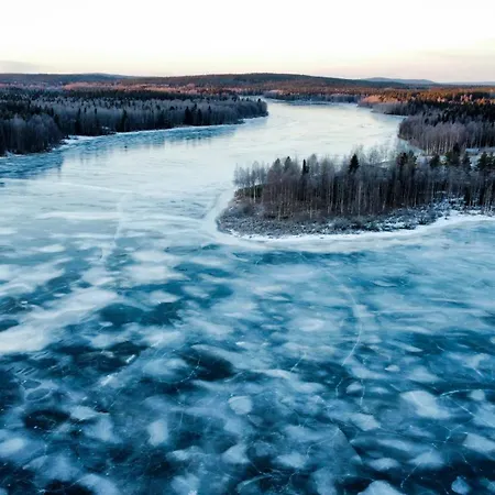 Silver Birch Lapland