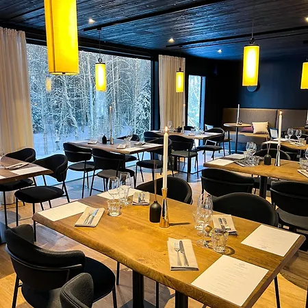 Silver Birch Lapland *