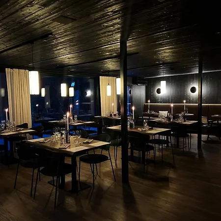 Silver Birch Lapland Rovaniemi