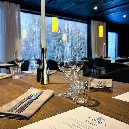 Hotel Silver Birch Lapland *