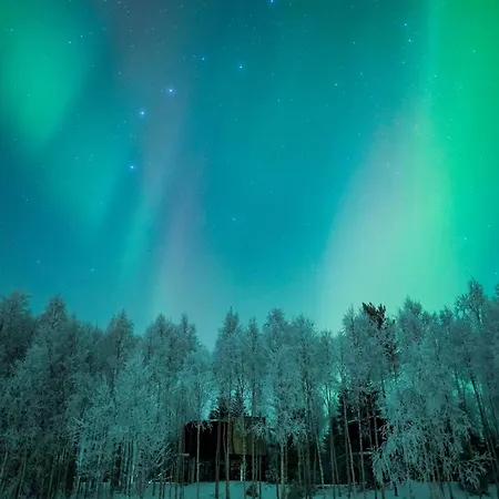 Hotel Silver Birch Lapland Rovaniemi