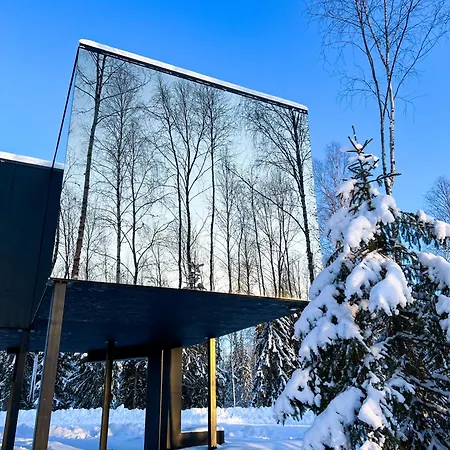 Silver Birch Lapland *