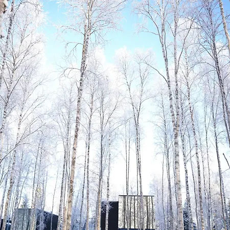 Silver Birch Lapland Rovaniemi