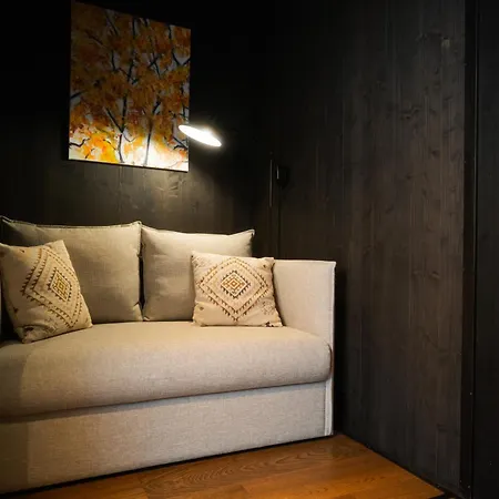 Silver Birch Lapland *