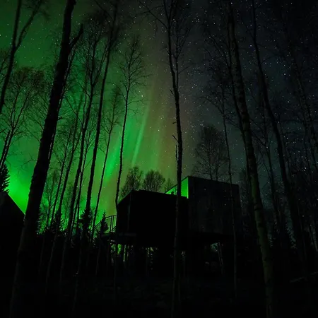 Silver Birch Lapland 酒店 *