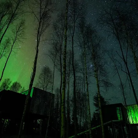 Hotel Silver Birch Lapland