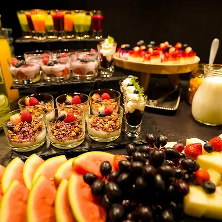 Silver Birch Lapland Rovaniemi