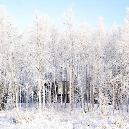 酒店 Silver Birch Lapland 罗瓦涅米
