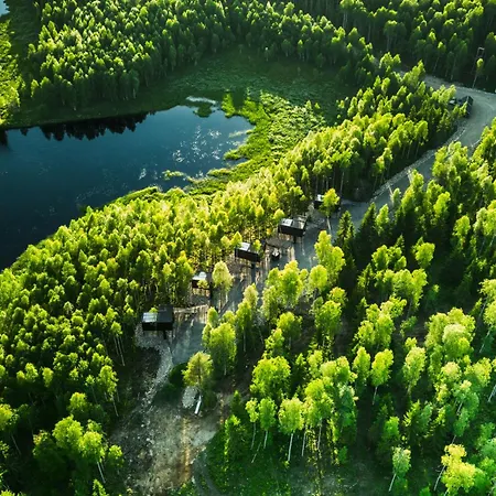 Silver Birch Lapland Rovaniemi