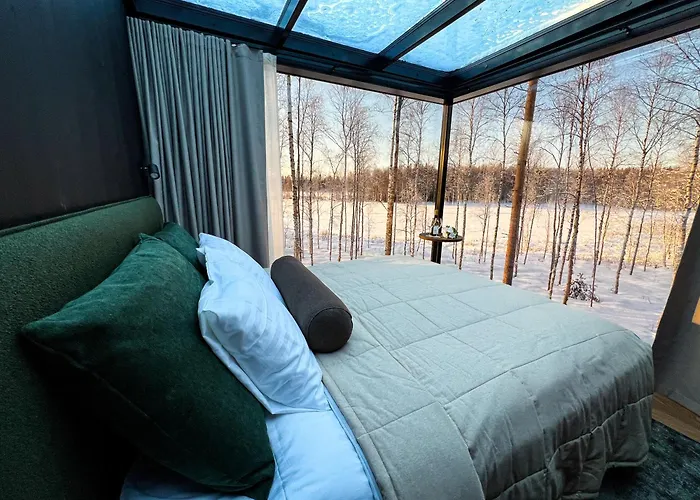 Silver Birch Lapland *