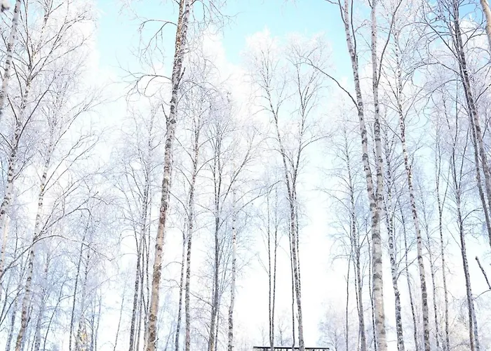 Silver Birch Lapland روفانييمي