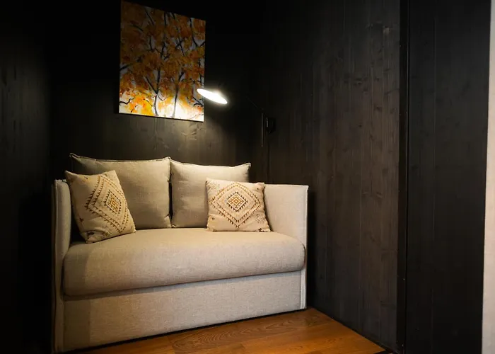 Silver Birch Lapland *