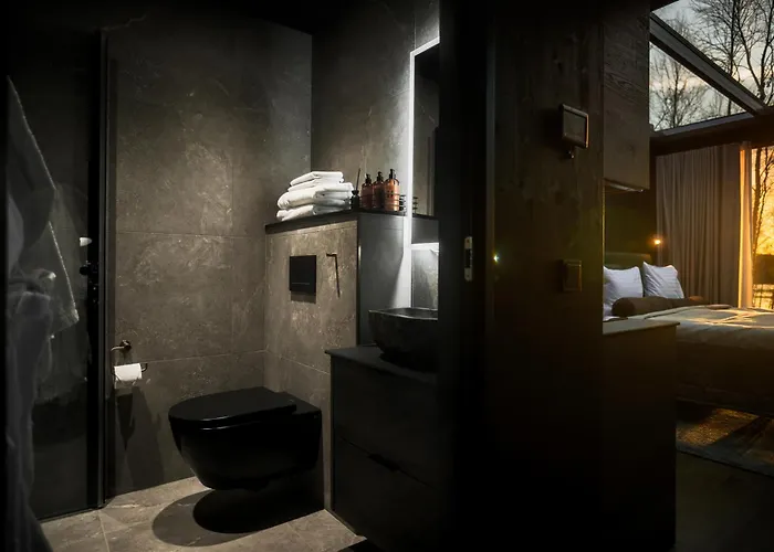 Silver Birch Lapland فندق روفانييمي