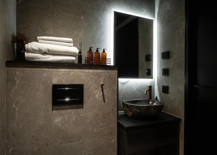 Silver Birch Lapland