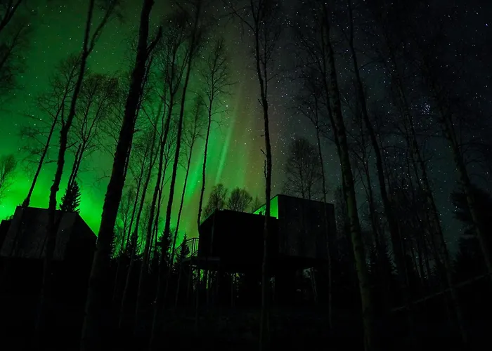 Silver Birch Lapland فندق *