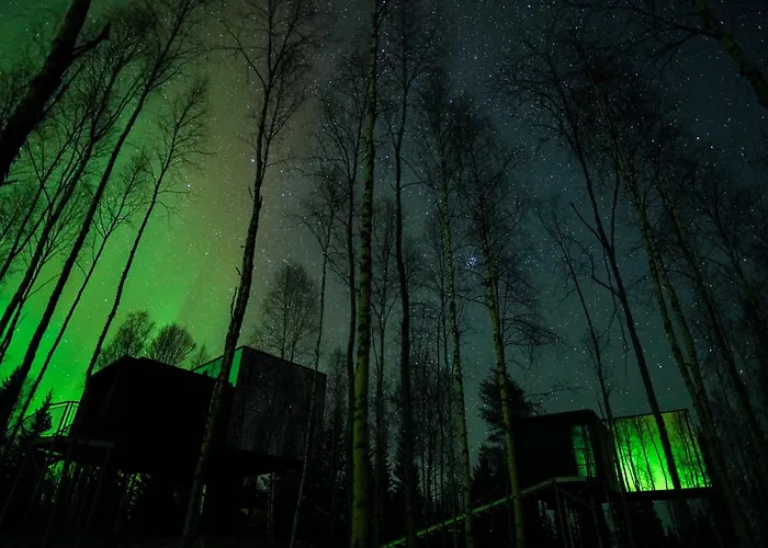 فندق Silver Birch Lapland