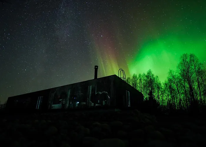 Silver Birch Lapland فندق روفانييمي