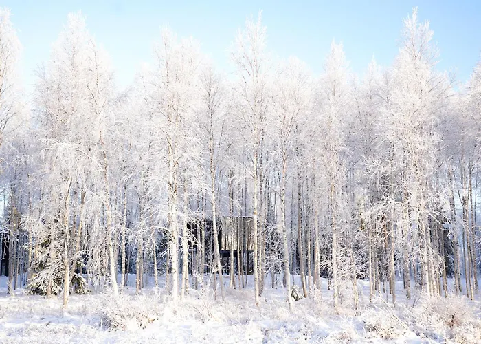 فندق Silver Birch Lapland روفانييمي