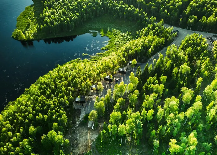 Silver Birch Lapland روفانييمي